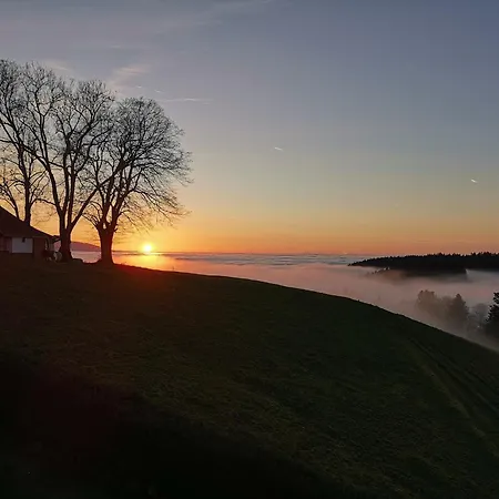 Haus Julia Apartment